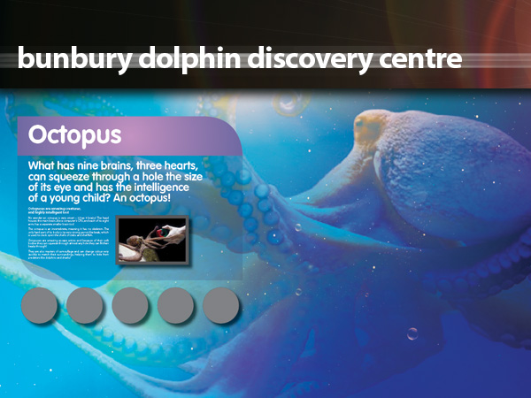 Dolphin Discovery Centre