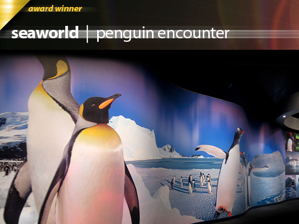 Seaworld Penguin Encounter